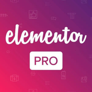 Elementor Pro WordPress Plugin