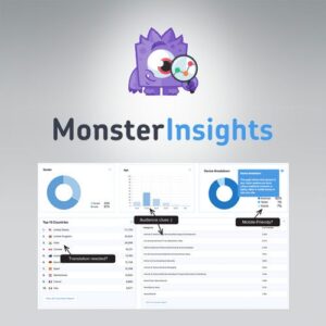 Complemento Premium de Google Analytics de MonsterInsights Pro