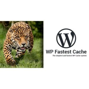 Plugin WordPress WP Fastest Cache Premium