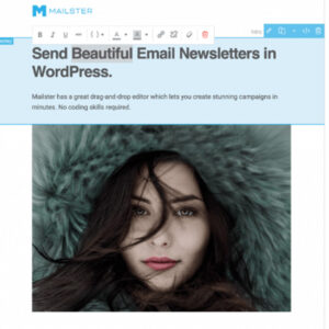 Send Beautiful Email Newsletters in WordPress.