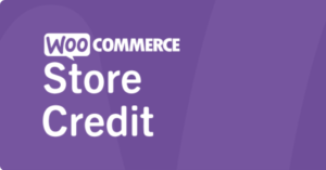 Store Credit for WooCommerce Nulled Free Download | Baixar | Descargar